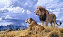 运势君:今日运势2018年6月5日