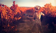 唐绮阳/唐立淇今日运势2020年1月14日