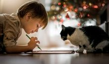 猫石对话:每日运势2018年4月30日