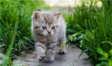 运势君今日运势2018年7月3日