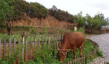 运势君今日运势2018年7月2日