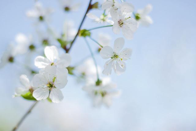 互惠发动巫婆店今天，2019年11月5日