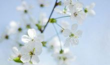 闹闹女巫店今日运势2019年11月5日