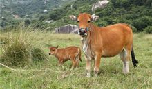 YAO叔今日运势2018年7月2日