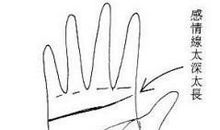 感情线太深的女人手相