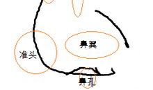 鼻子和财运有关系吗