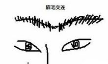 让你人生不顺的眉毛