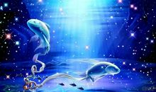 双鱼座今日运势2015年11月2日