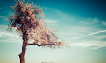 唐绮阳/唐立淇今日运势2020年1月8日