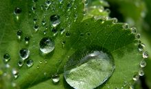 狂月今日运势2020年6月6日