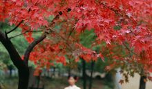 运势君今日运势2018年2月27日