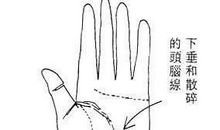 女人手相之感情运好坏