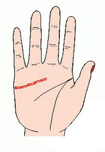 手珍珠线图2