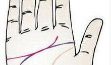 感情线止于无名指手相图解