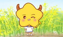 月亮金牛女的最佳老公是什么星座