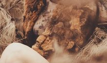 苏珊米勒今日运势2016年6月8日