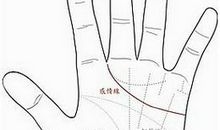 感情线止于指缝手相图解