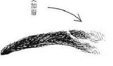 交叉眉面相图解