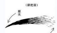 扫把眉面相图解