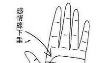 女人手相之二奶命