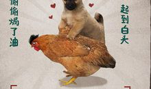 狮子座今日运势2016年10月13日