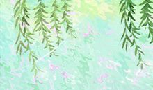 哪只老虎被驯服了 测你是假装坚强还是真坚强