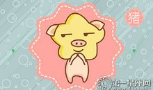 属猪男生是怎样凭实力单身的