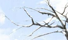 测试2021年你的人际会往高走还是往下滑