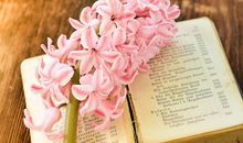 苏珊米勒每日运势2020年6月15日