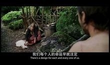 猫石对话每日运势2015年8月5日