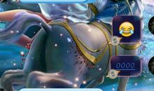 双鱼座今日运势2015年12月13日