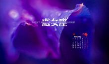 处女座今日运势2016年1月26日