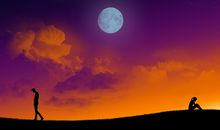 感情总是无疾而终的生肖