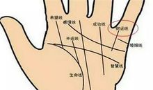 正财和偏财双丰收的手相