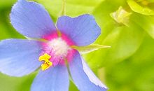 长这种鼻子的人，将来必定会富贵荣华