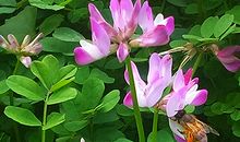 哪些面相的人会置业？