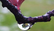 如何从手相看个人的财运好坏?