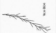 不安分的女人手相