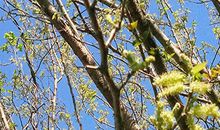 海百合今日星座运势（2017年5月2月）