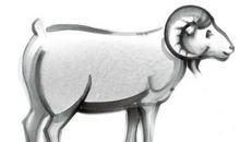 白羊座今日运势2015年6月4日