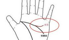 拥有哪些手相财运必定出色?