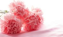 2021年1月6日今日凶时查询