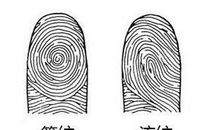 手上几个斗是富贵命