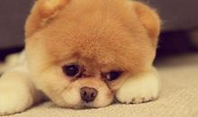 天蝎座今日运势2015年6月4日