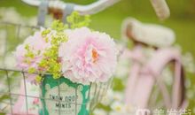 闹闹女巫店每日运势2015年12月11日