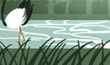 趣味测试：密集恐惧症测试图