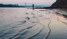 李云天一周生肖鸡运势（3.5-3.11）