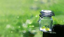 李云天一周生肖虎运势（9.24-9.30）