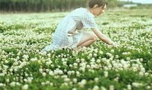 李云天塔罗生肖运程（10.30-11.5）