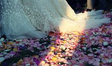 李云天生肖牛2017年11月运程